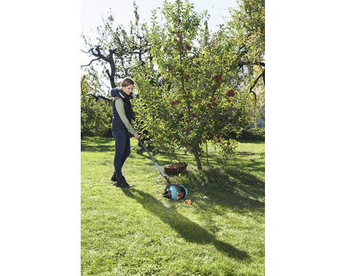 Žena sbírá jablka sběračem jablek na zahradě.