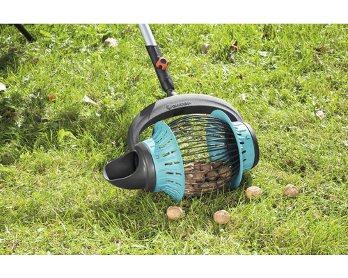 Sběr vlašských ořechů se sběračem vlašských ořechů na trávníku.