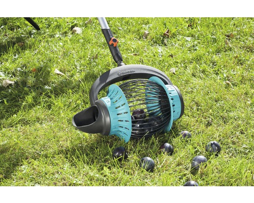 Sběrač ovoce Gardena v provozu na trávníku se švestkami.