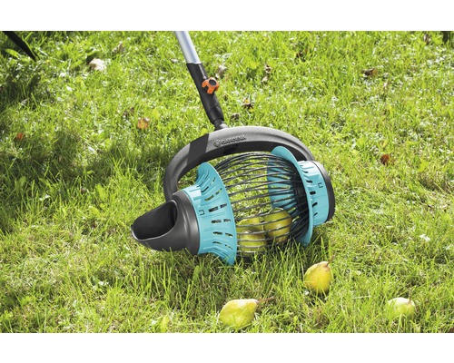 Sběrač ovoce Gardena při použití na trávníku se zralým ovocem.