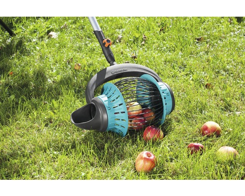 Sběrač jablek pro sběr spadaného ovoce na zahradě