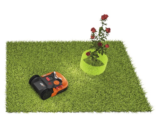 Travnatá plocha s robotickou sekačkou a keřem růží