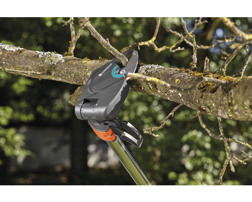 Zahradní nůžky stříhají větev