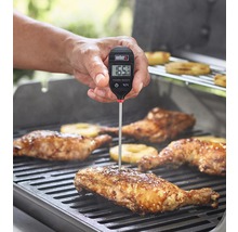 Logo společnosti Weber. Osoba měří digitálním grilovacím teploměrem teplotu kuřete na grilu.