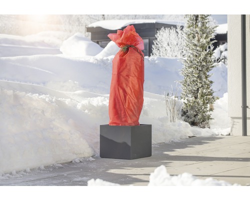 Rostlina v květináči se zimní ochranou v zasněženém prostředí