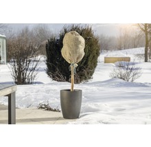 Zasazený strom se zimní ochranou ve sněhu