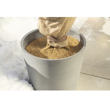 Rostlina v květináči se zimní ochranou na zahradě.