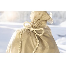 Rostlina zabalená v jutové tkanině se stuhou