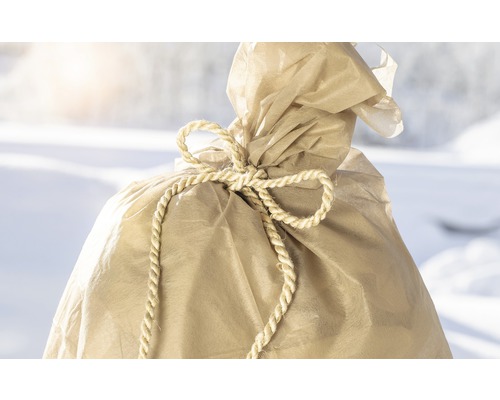 Rostlina zabalená v jutové tkanině se stuhou