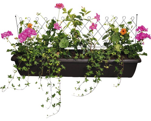 Truhlík na květiny s mřížkou a různými rostlinami