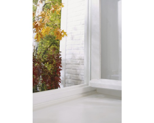 Detailní pohled na bílé okno s výhledem na podzimní zahradu