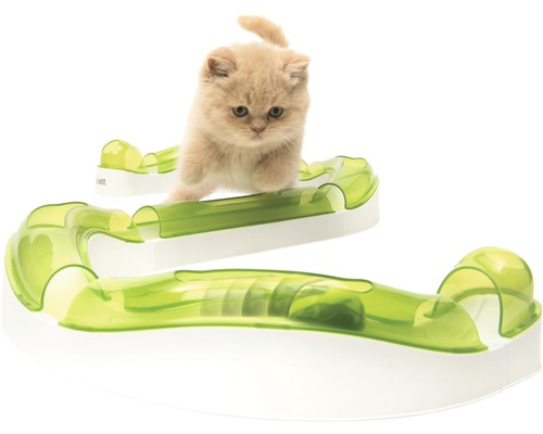 Kočka si hraje s hračkou pro kočky