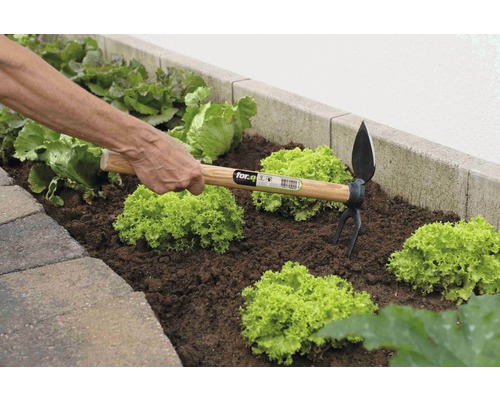 Osoba pracuje s kombinovanou motykou v zeleninovém záhonu.