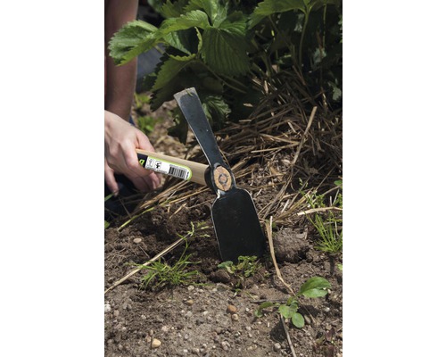 Zahradní motyka s dřevěnou rukojetí používaná pro zahradničení.