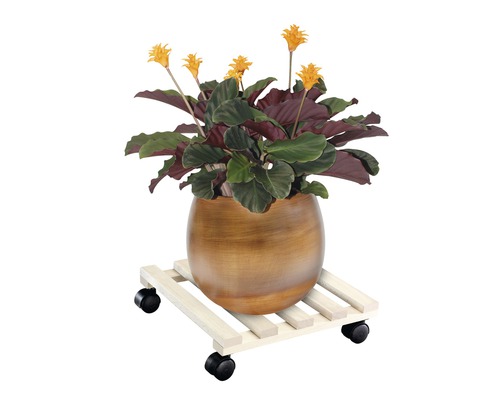 Kvetoucí pokojová rostlina v květináči na vozíku na rostliny