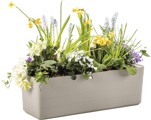 Květináč osázený různými jarními květinami