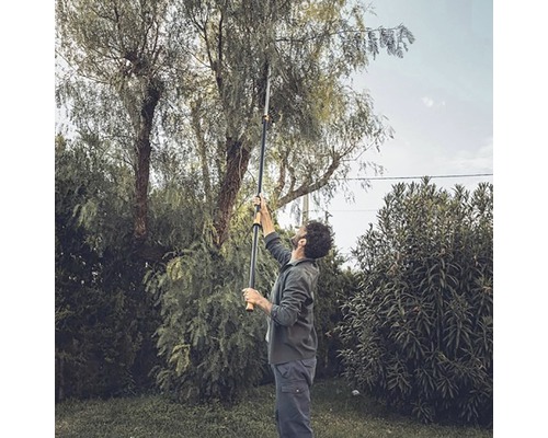 Osoba používá teleskopické nůžky na větve na zahradě k ořezávání větví stromu.