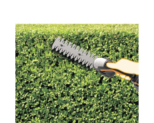 Nůžky na živý plot v akci při stříhání živého plotu