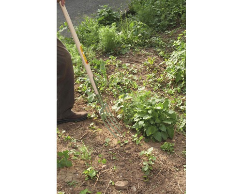 Zahradník používá rycí vidle na zahradě.