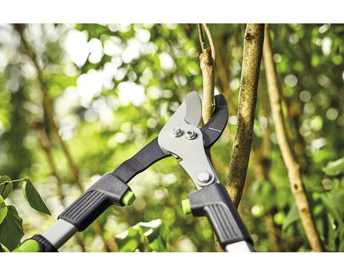 Nůžky na větve stříhají větev na zahradě