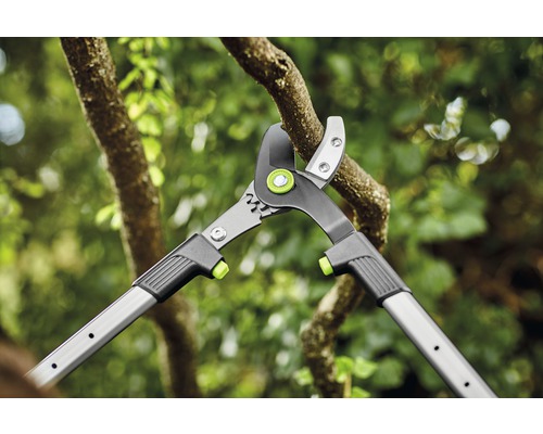 Nůžky na větve používané k řezání větve