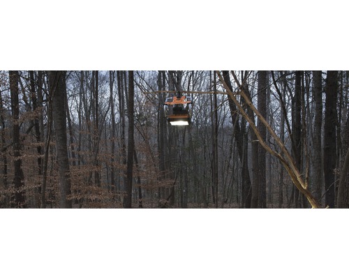 Stavební reflektor visí na větvi v lese a poskytuje světlo.