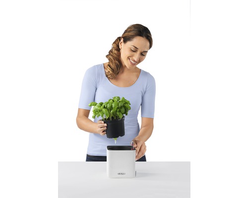 Žena sází bazalku do květináče Lechuza se zavlažovacím systémem