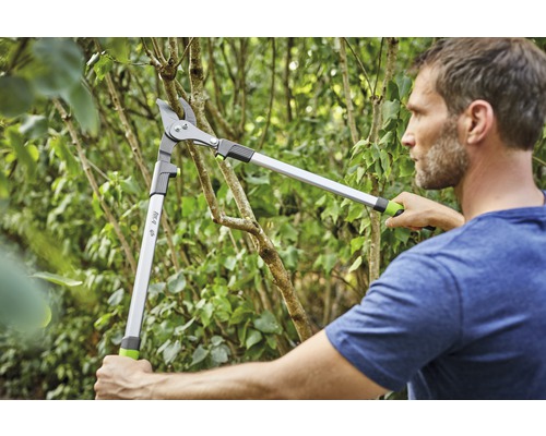 Muž stříhá strom nůžkami na větve.