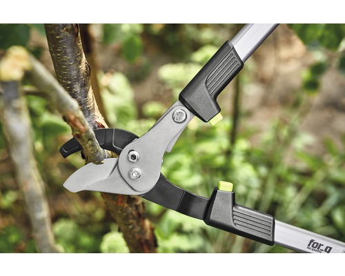 Nůžky na větve stříhají větev