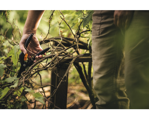Osoba používá zahradní nůžky ke stříhání větví.