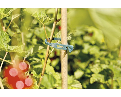 Vázací páska na rostliny pro upevnění rostliny k dřevěné tyči