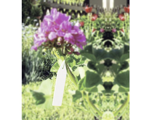 Květina s visačkou na zahradě