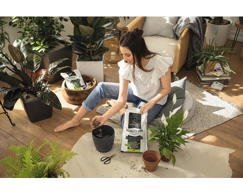 Žena sedí na podlaze a plní květináč substrátem Lechuza Pon, obklopena pokojovými rostlinami