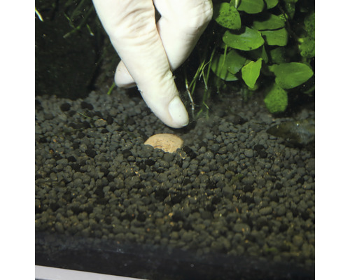 Dno akvária s hnojivými kuličkami a rukou