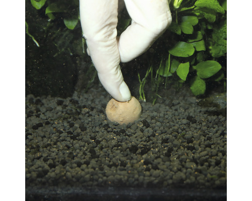 Ruka umisťuje hnojivou kuličku do štěrku v akváriu