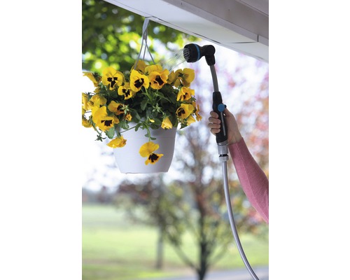 Zavlažování žluté závěsné rostliny zahradní hadicí