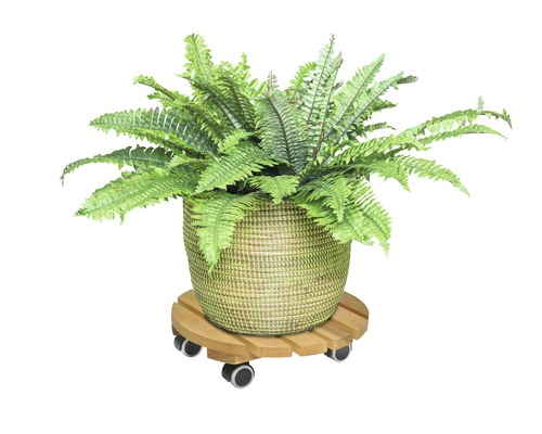 Pokojová rostlina v proutěném květináči na dřevěném vozíku na květináče