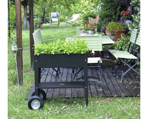 Zahradní scéna s truhlíkem na rostliny, zahradním stolem a zahradními židlemi na dřevěné terase