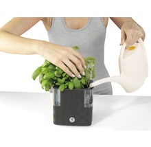 Osoba zalévá bazalku v květináči se zavlažovacím systémem