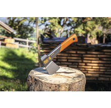 Sekera na pařezu s logem For.q