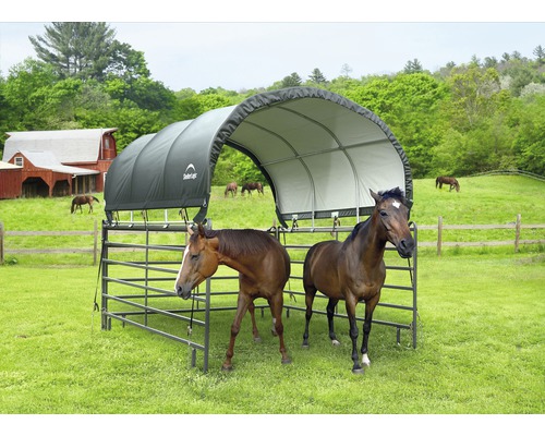 Přístřešek pro koně se dvěma koňmi na zelené louce