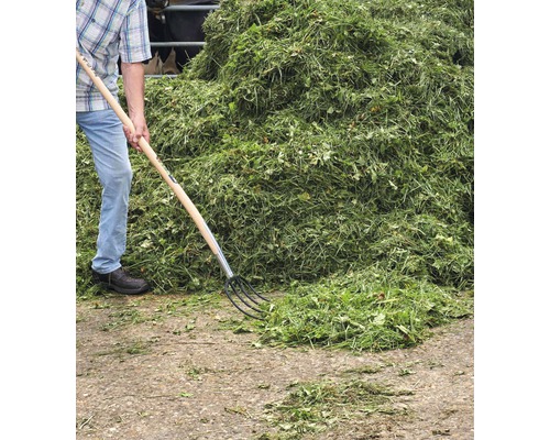 Osoba s vidlemi na hnůj a velkou hromadou trávy