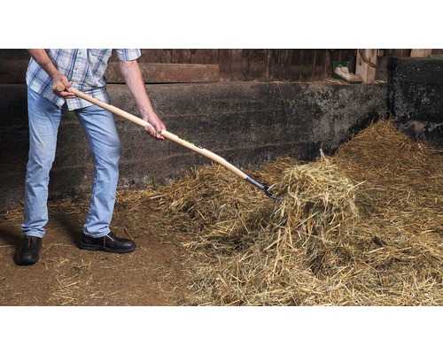 Muž přehazuje seno vidlemi ve stáji.