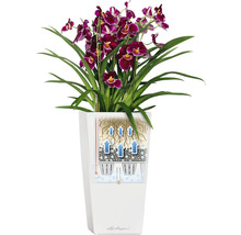 Samozavlažovací květináč Lechuza Cubico 40 kompletní set v 75 cm lesklý bílý-thumb-2