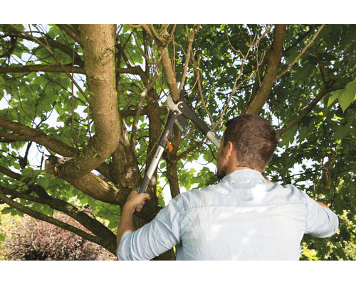 Muž stříhá větve stromů pomocí nůžek na větve