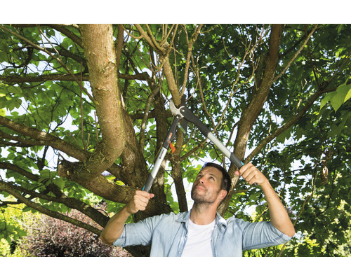 Muž stříhá strom zahradními nůžkami na větve