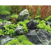 Dekorace akvária s kameny a rostlinami