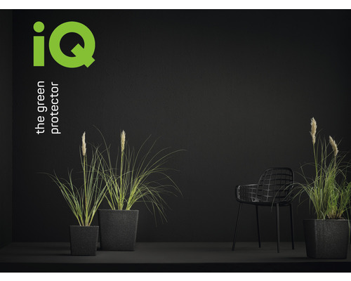 Dekorativní scéna s rostlinami v květináčích a židlí