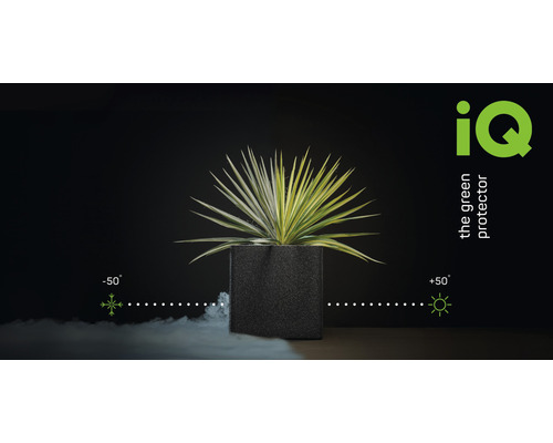 Rostlina v šedé květináči se symboly teplotní tolerance