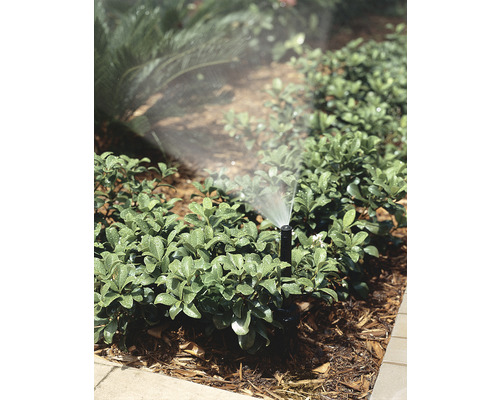 Zavlažovač zavlažuje zahradní rostliny